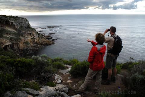 Cape to Cape Guided 'End to End' 8 Day Ultimate Experience